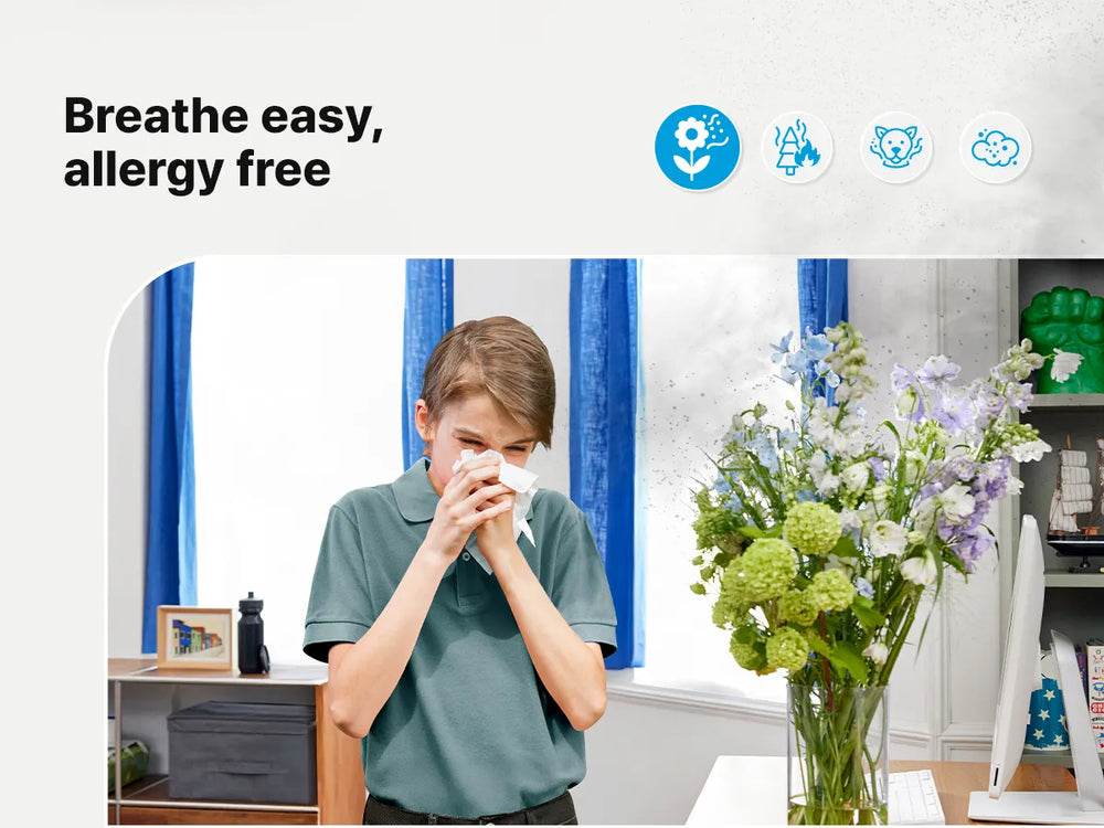 Airmega 50 – Andas lätt, fri från allergener